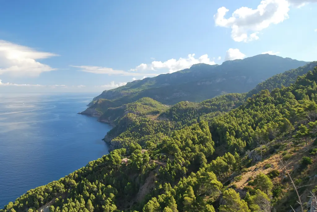 Bewaldete Bergküste, die steil zum Mittelmeer abfällt