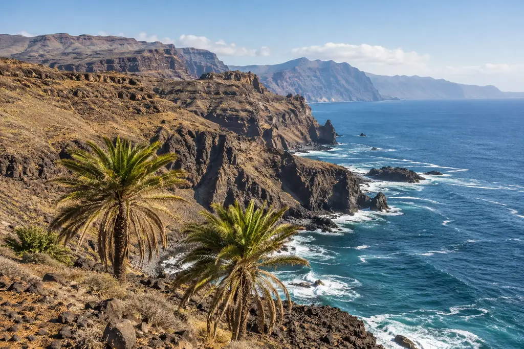 Vulkanische Küste mit Palmen und blauem Atlantik