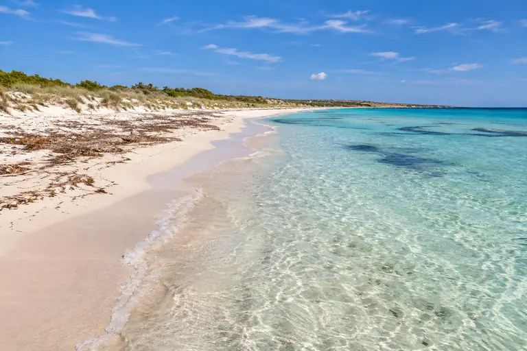 Heller Sand und klares flaches Wasser an einem Naturstrand