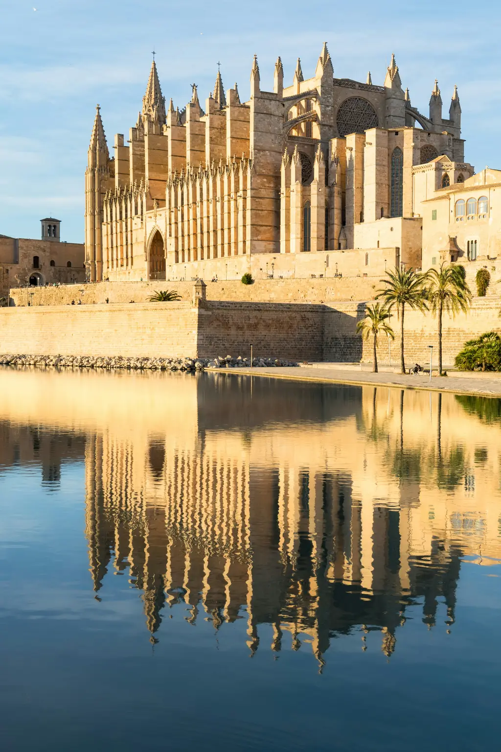 Kathedrale von Palma, die sich im Wasser davor spiegelt