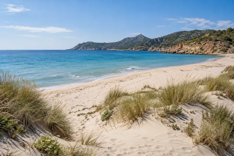 Ruhiger Sandstrand mit Dünengras und blauem Meer