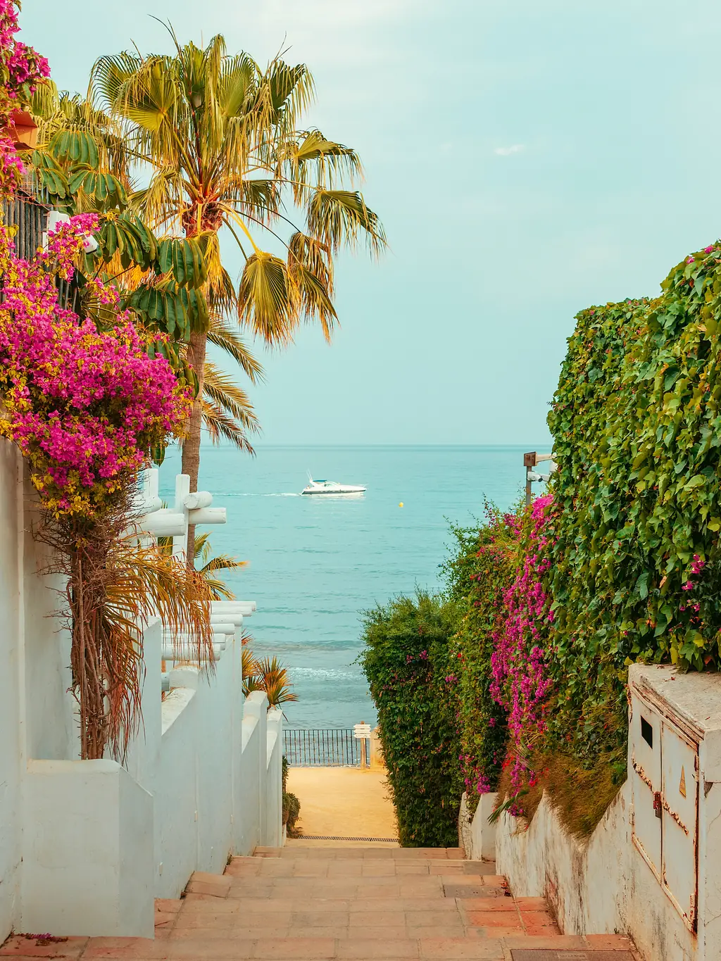 Treppe zwischen Bougainvillea und Palmen hinunter zum Meer